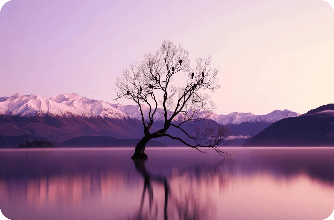 Travel gallery image