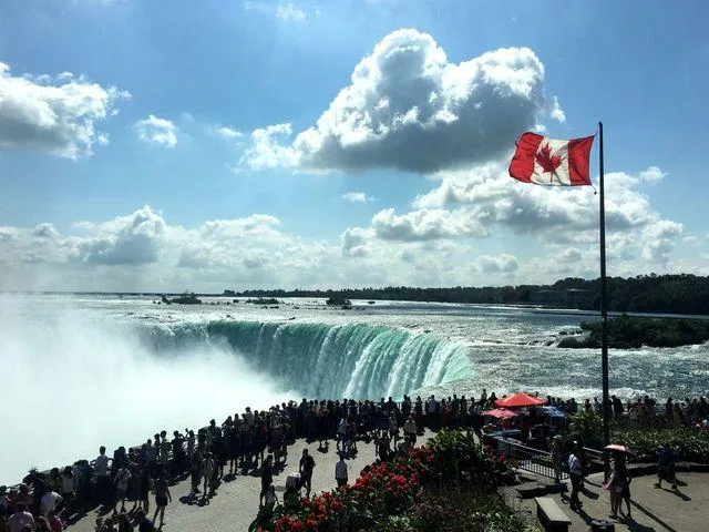 Canada visa assistance